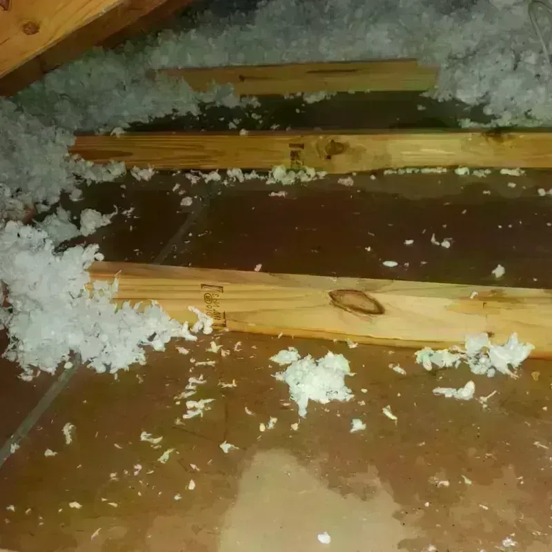 Attic Water Damage in Dierks, AR