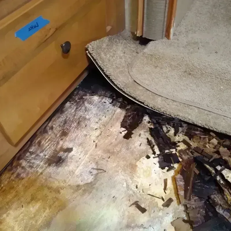 Wood Floor Water Damage in Dierks, AR